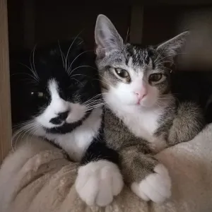 Best friends