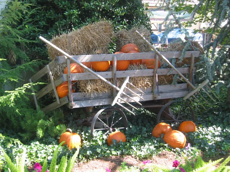 Busch Gardens: Fall Mode