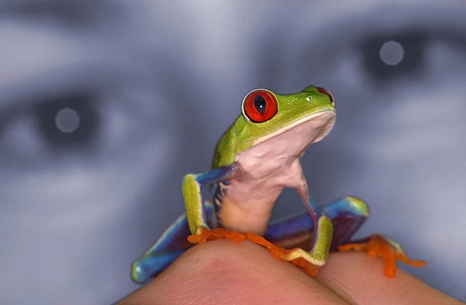 Seeing Things Differently