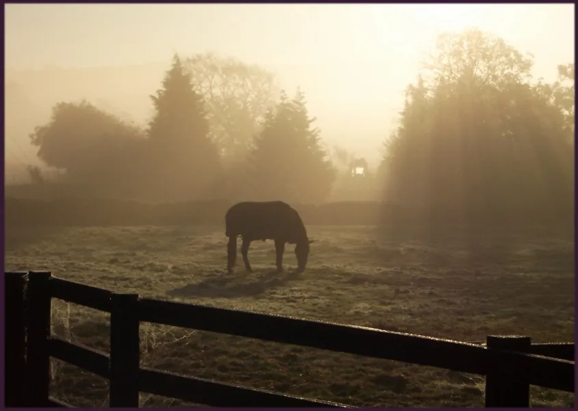 A November Morning in Yorkshire