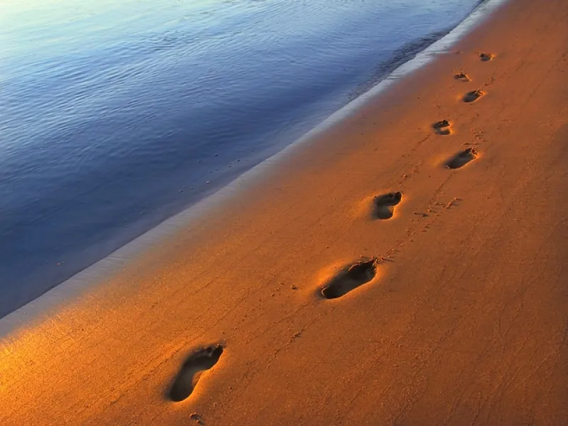 Footprints