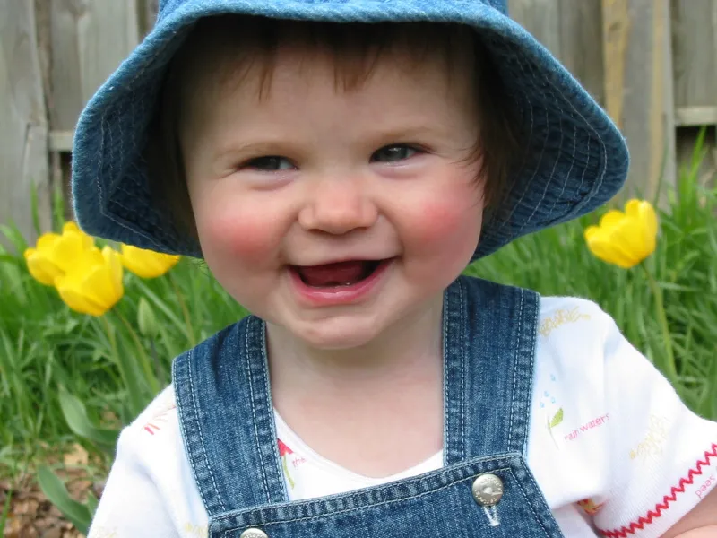 Papa Caught Me Picking Tulips