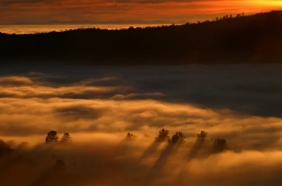 Nature's Finest Hour