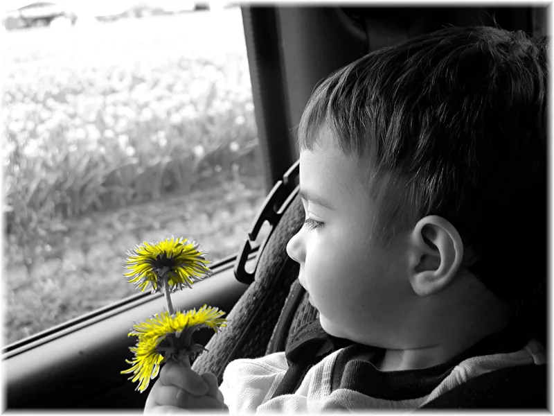 Stop to Smell the Flowers