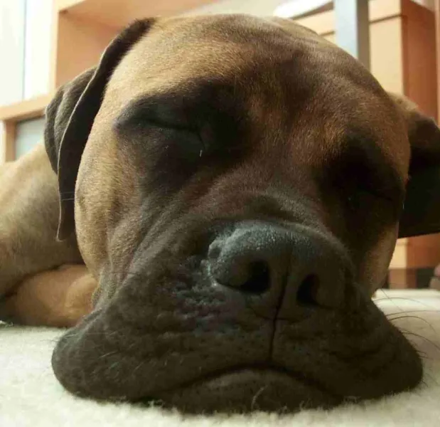 Strategic Thinking...