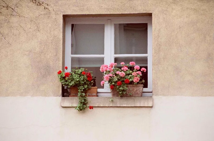 Windows in Paris