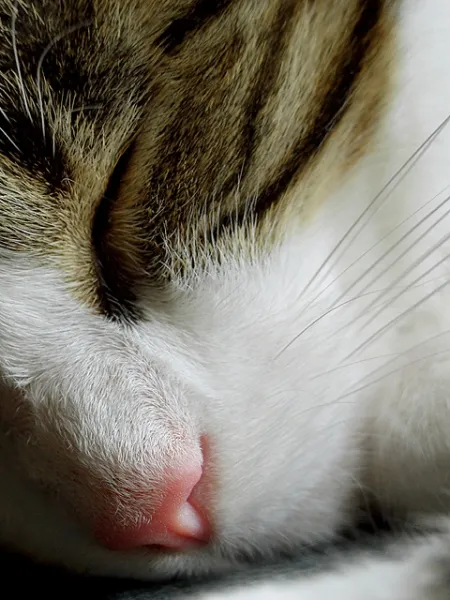 Calm, but Still Stormy