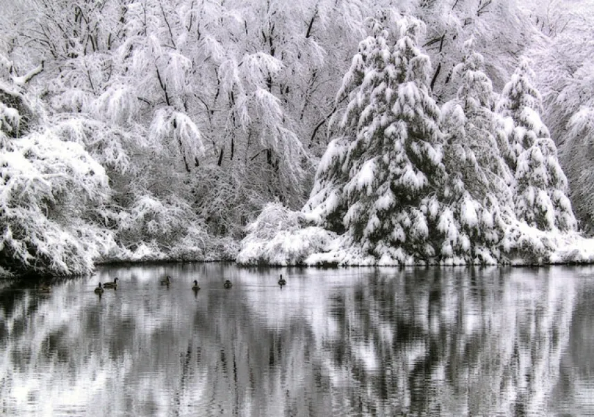 Reflections of Winter
