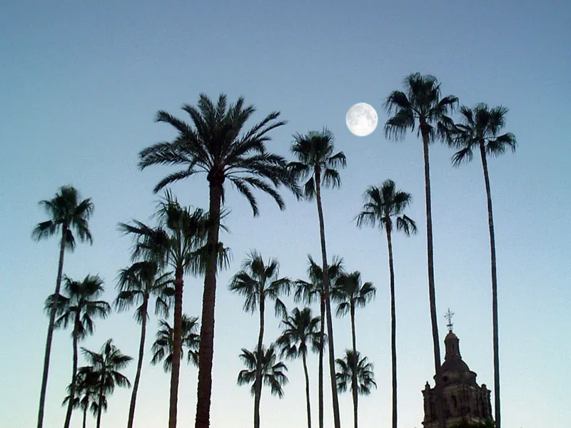 Plaza de Alamos Sonora