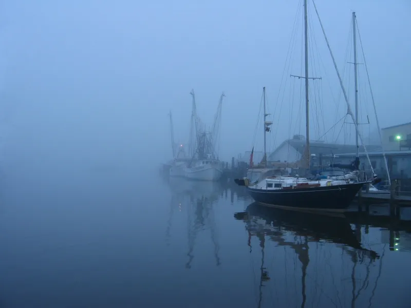Foggy Harbor