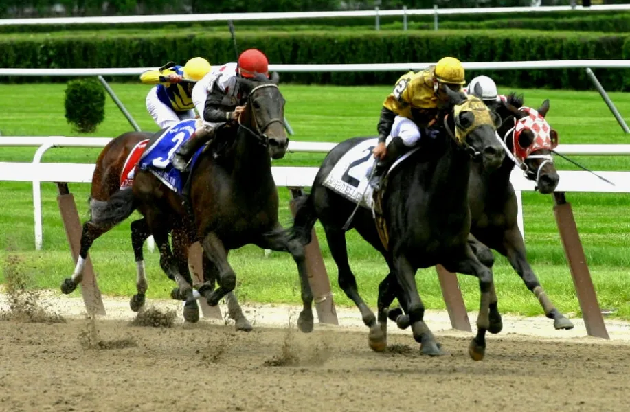 Flying Down the Stretch