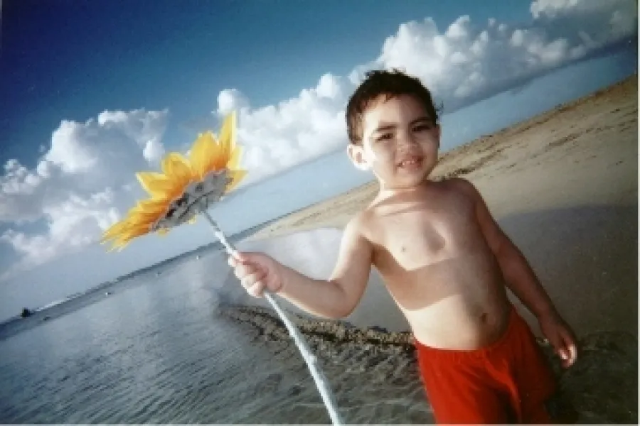 The Sunflower Of My Life