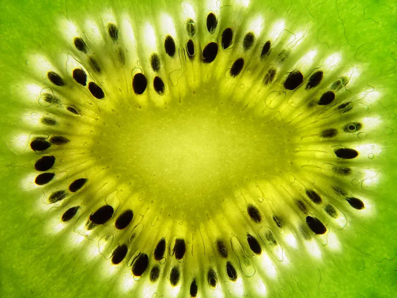 A Kiwi Explosion