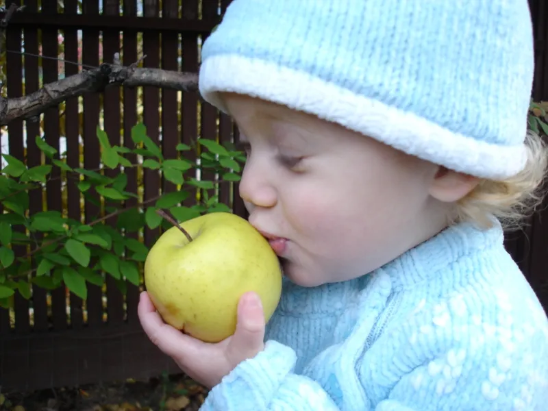 Oh, I Love Apples!