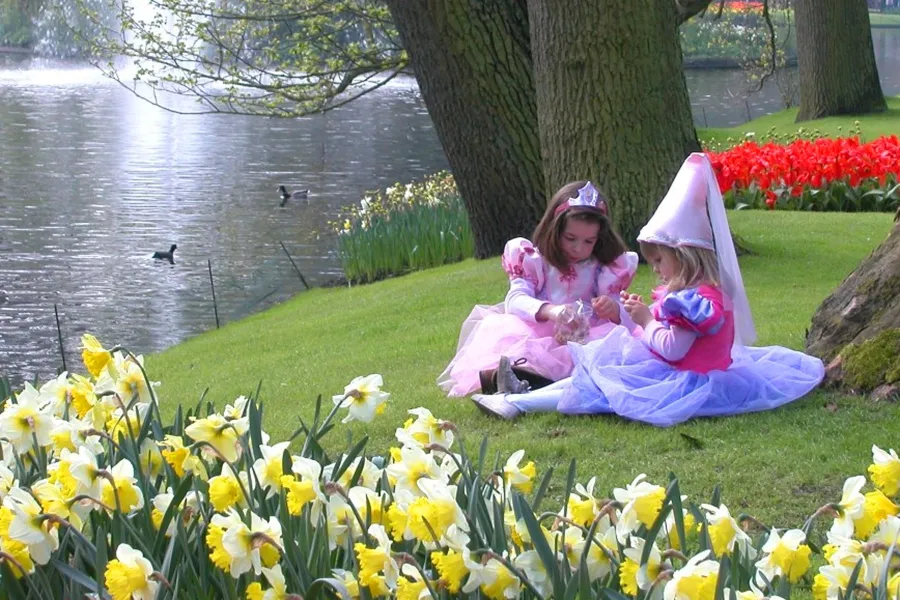 Picnic in Keukenhof