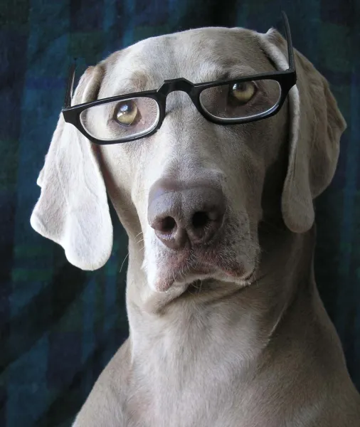 "You talkin' to me?"