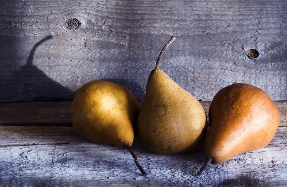 Winter Pears