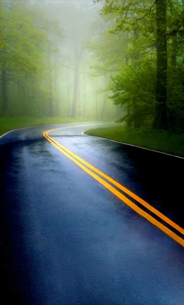 When Life Throws a Curve