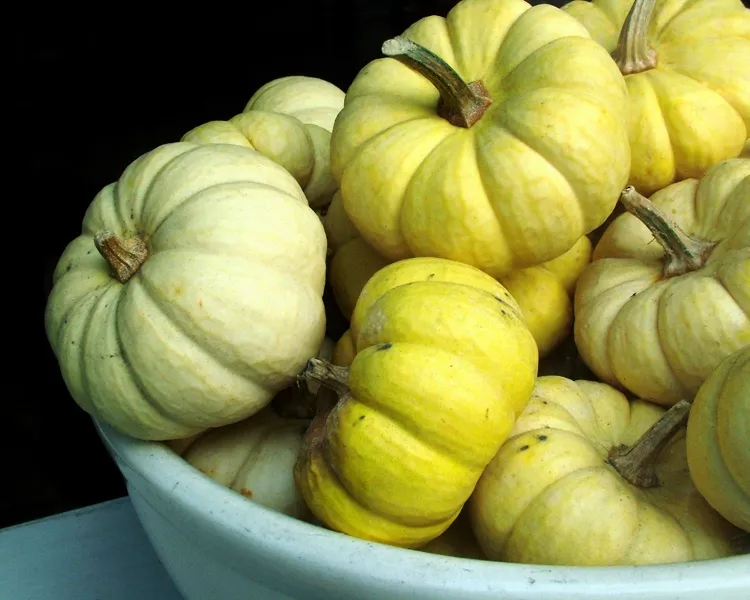 Pumpkins in a Bowl