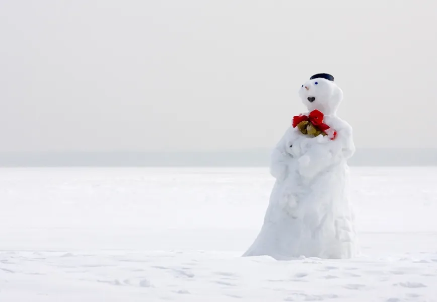 The Lonely Snowman