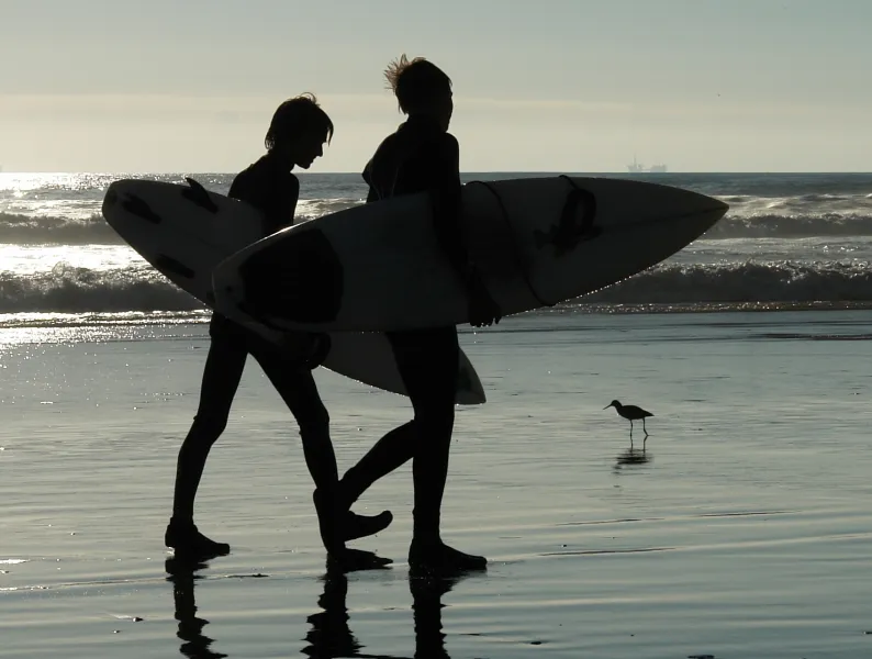 Two Surfers and a Bird