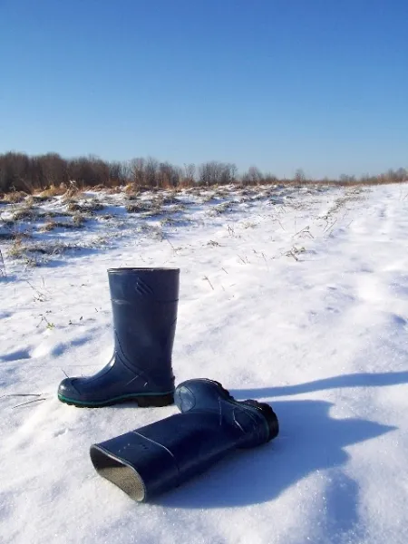 The Missing Barn Boots