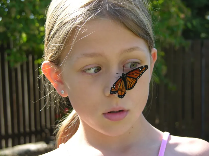Dad, there's a butterfly