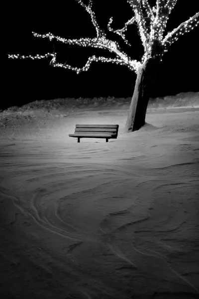 Wintery Bench