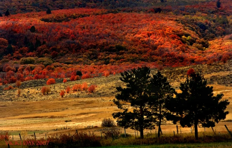Picture Perfect Autumn