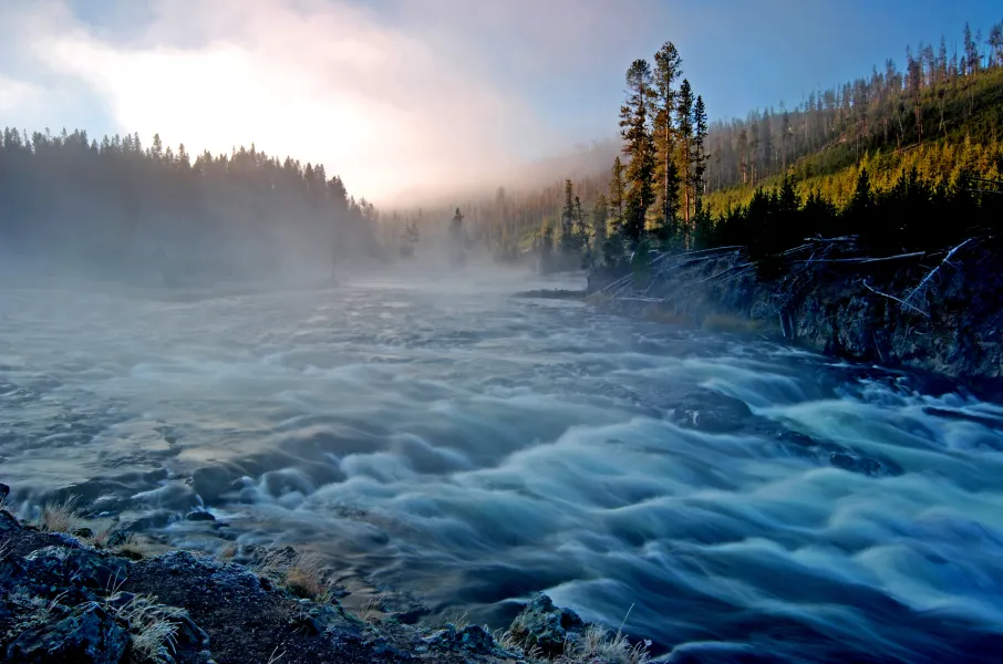 Yellowstone Morning