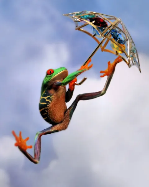 Froggy Poppins