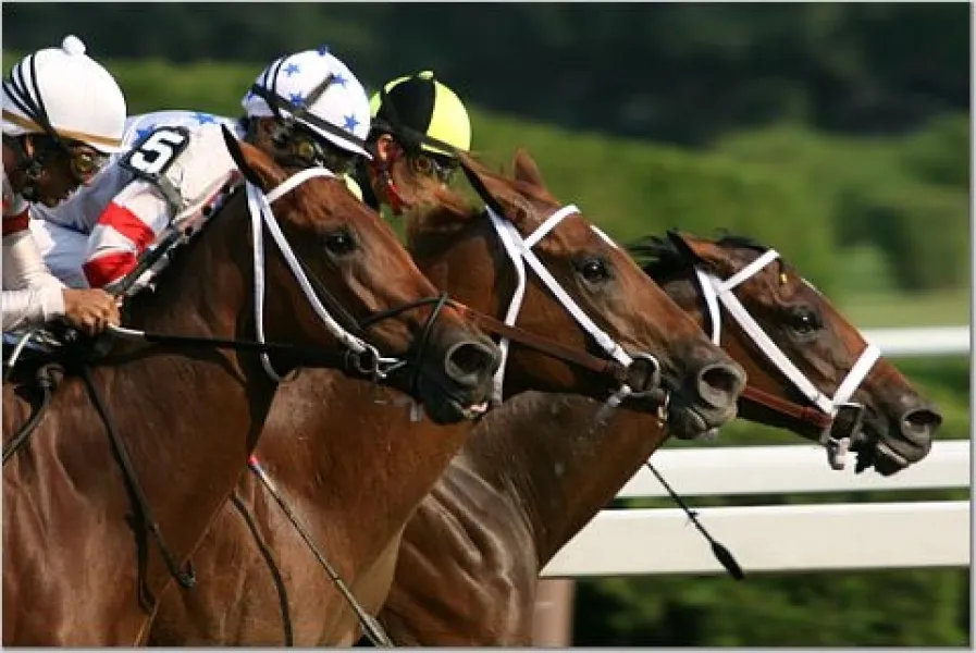 Win, Place and Show.