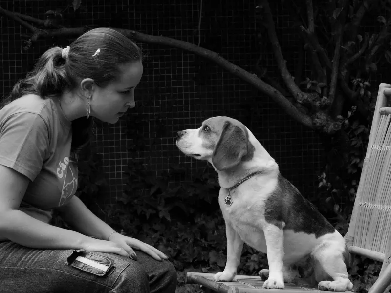 A Time-out for Buddy