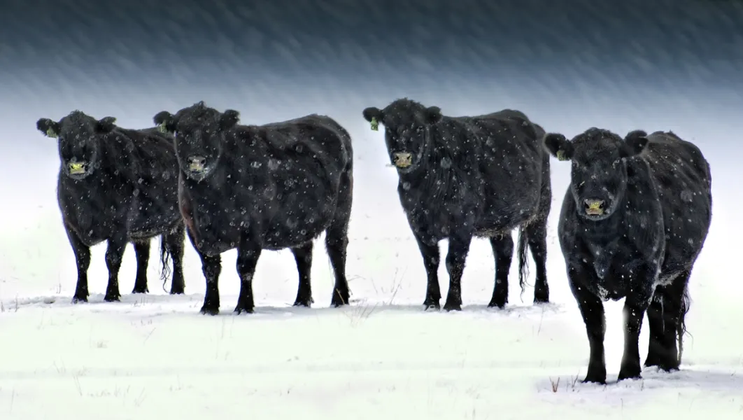 Samaria, Id, Bowling Team