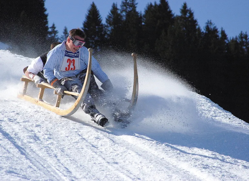 Horned Sled Race