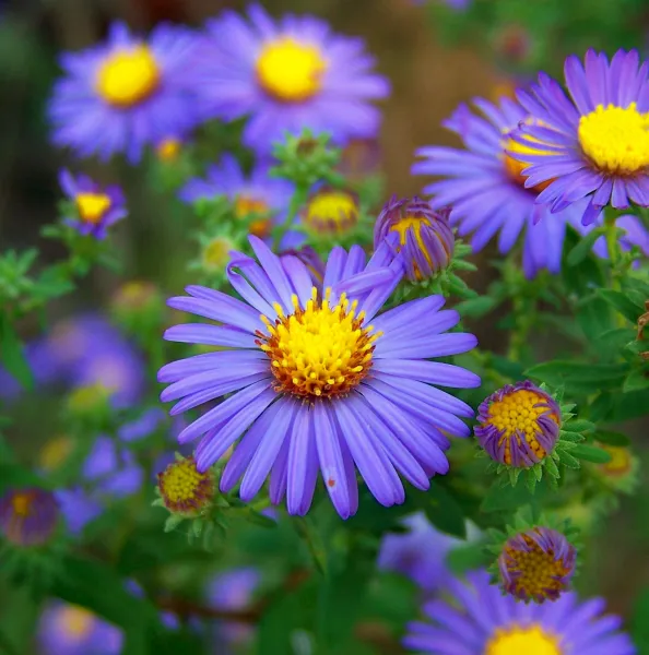 Spring is on the Way