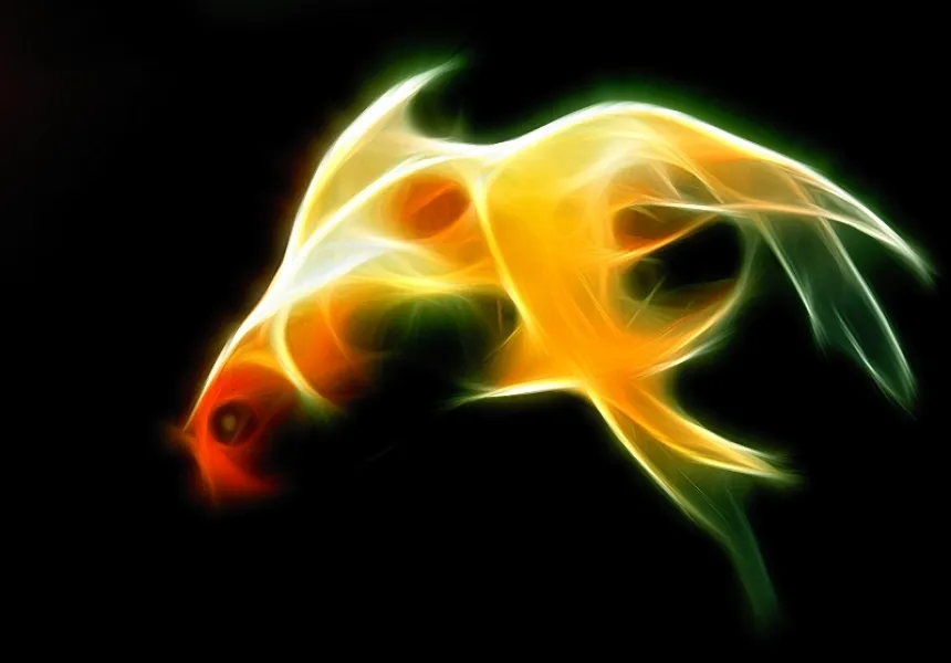 Neon Fish