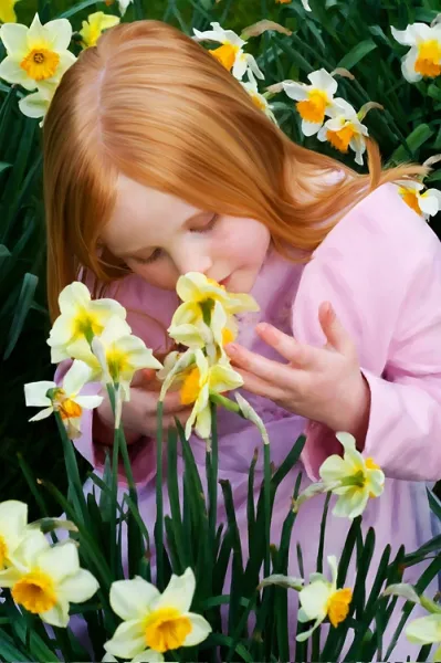 The Sweet Smell of Spring