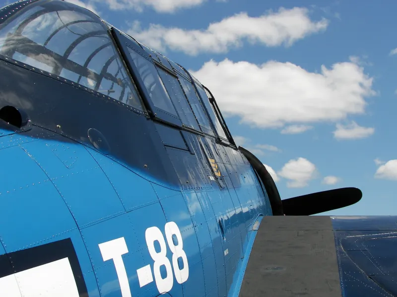 Into the Blue Yonder