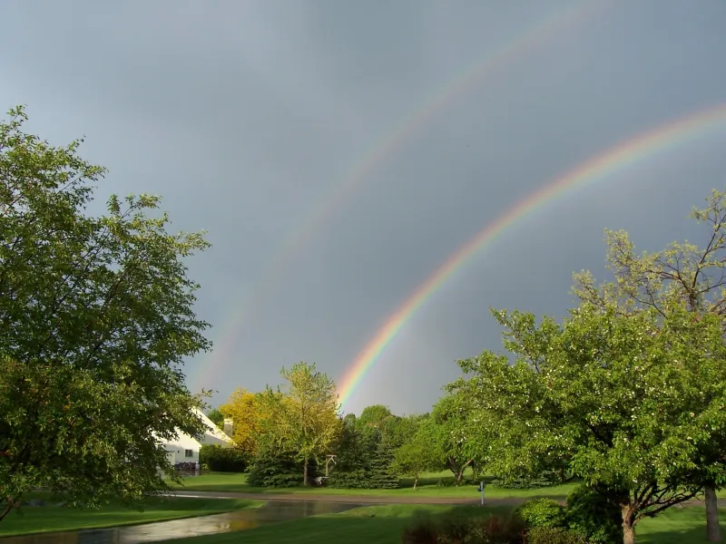 What a sight to see.