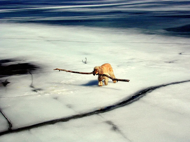 No, it's not too big!