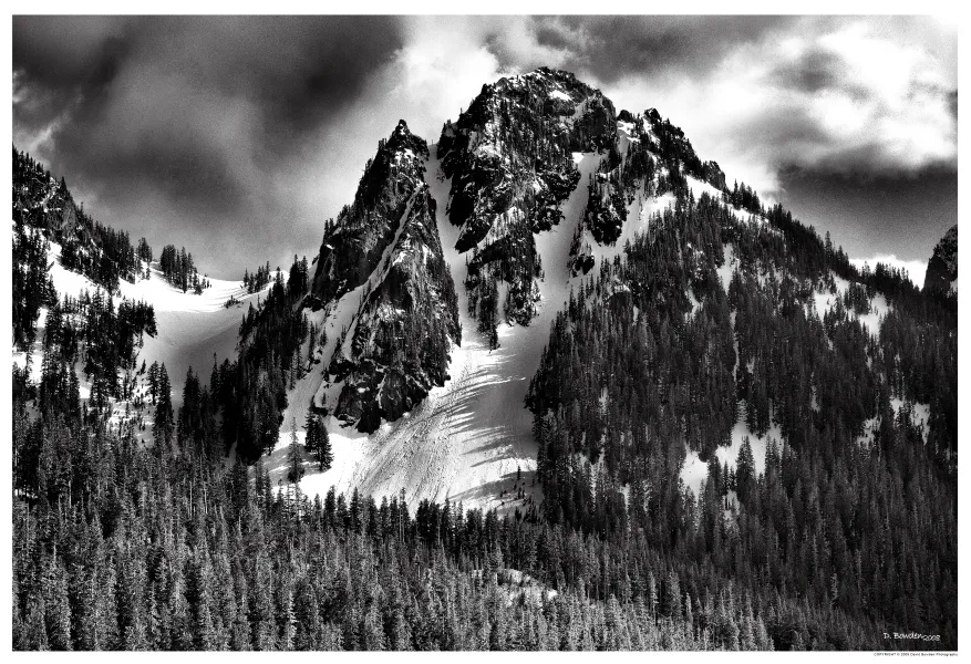 Mt. Rainier National Park