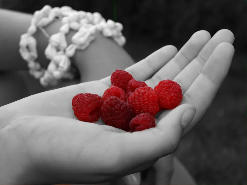 Ripe Raspberries