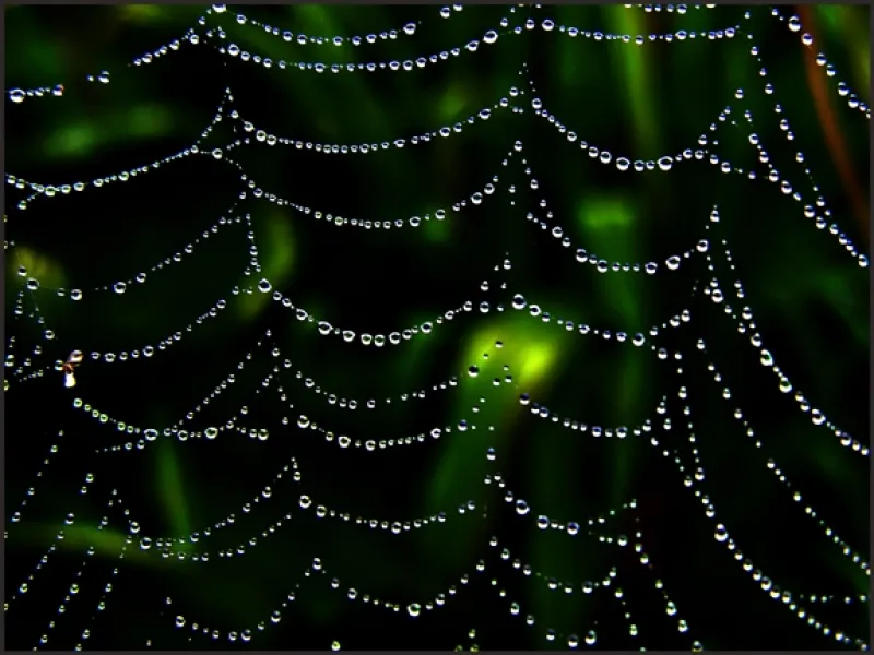 Treasures Are Everywhere