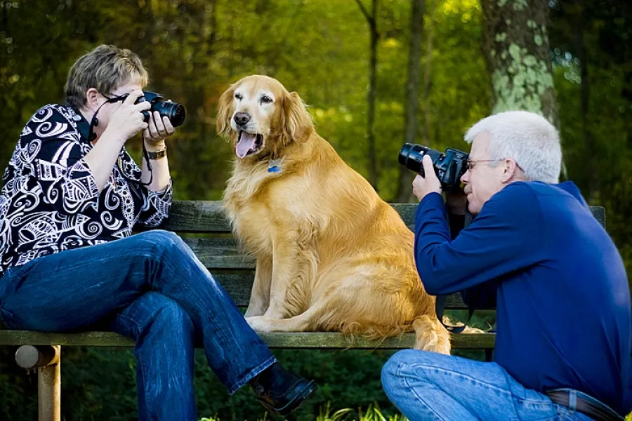 Hounded by the Paparazzi