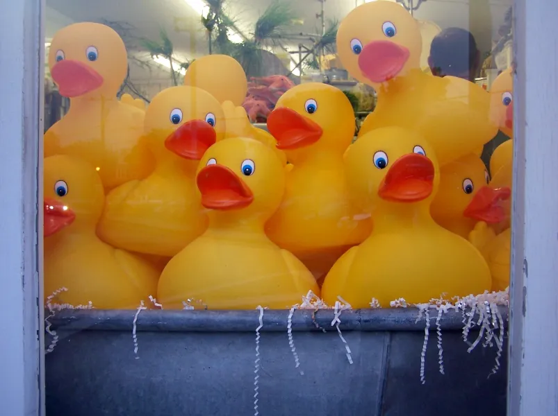 Cape May NJ Duck Club