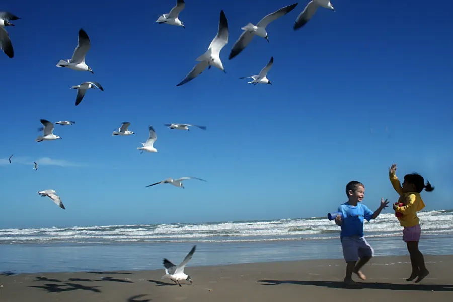 Favorite Place on Earth