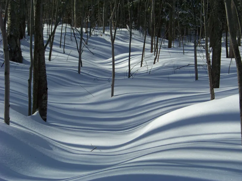 Winter Shadows