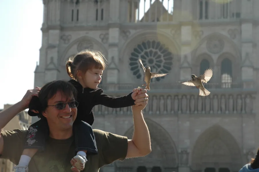 Wings Over Notre Dame