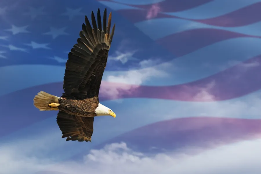 Our Nation's Symbol